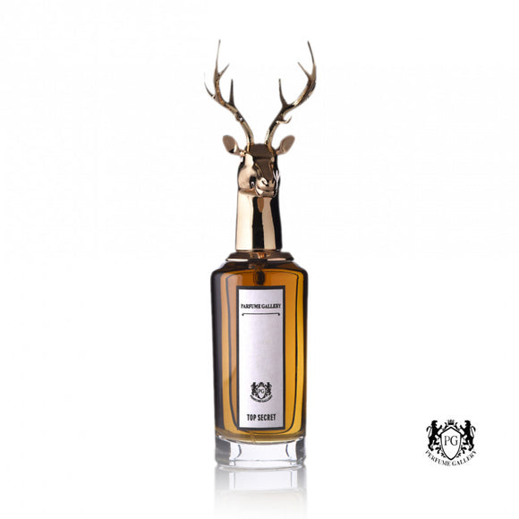Top Secret Perfume by Perfume Gallery for Men, Eau de Parfum, 75 ml